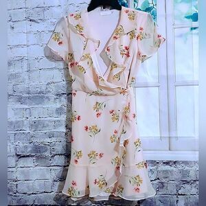 FLORAL HYPER FEMININE LIGHT PINK CHIFFON WRAP DRESS FULLY LINED SIZE XS